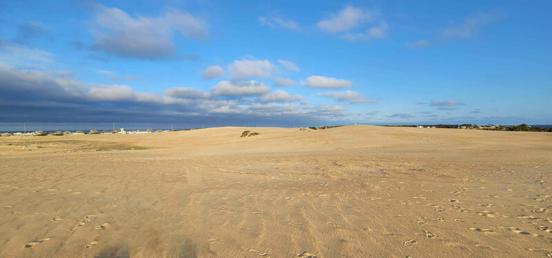 dunes on Jockey's Ridge State Park