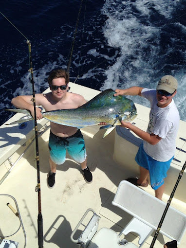 Client holding a just caught blue and green Mahi Mahi offshore on the back of the boat on an offshore fishing charter.
